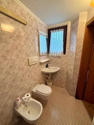 a bathroom with a toilet and a sink at Pragma Apartments - Dolomiti by Valentina in Moena