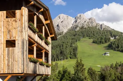 an aerial view of a house on a hill with trees at Bio Alpine Hotel Gran Fodà in San Vigilio Di Marebbe