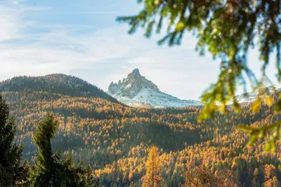 a mountain in the middle of a forest at Angiolina Charming Apartment R&R in Cortina dʼAmpezzo