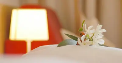 a white flower on top of a white cake at Haselgrund in Tirolo