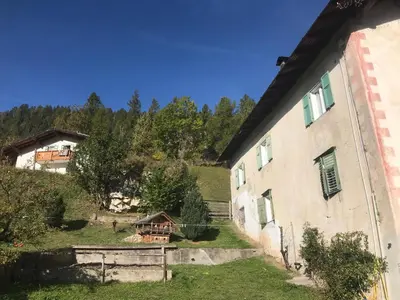 an external view of a building with trees in the background at Lili's house in Pera