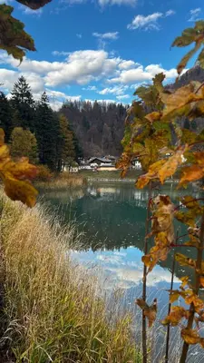 a view of a lake with trees in the background at Dolomiti Urban Lodge - casa Marmolada in Cencenighe