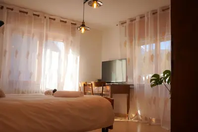 a bedroom with a bed with curtains and a television at Casa vacanze Danoi Dolomiti in Canale dʼAgordo