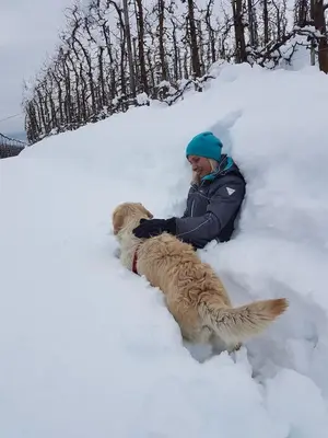 a person and a dog playing in the snow at Casa Evelina con Parcheggio esterno e Garage gratis, appartamento con idromassaggio per due in Sanzeno