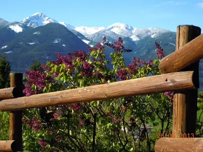 a wooden fence with flowers and mountains in the background at Luigi Apartment in Varena