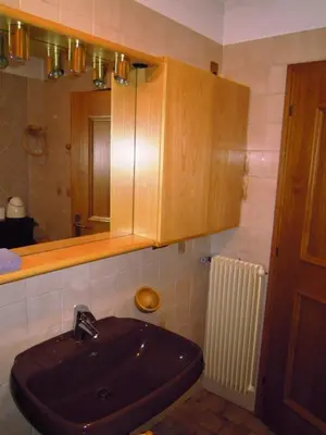 a bathroom with a sink and a mirror at Luigi Apartment in Varena