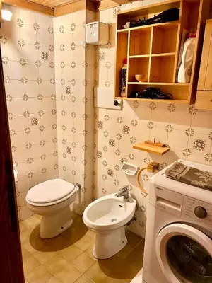 a bathroom with a toilet and a washing machine at Ca Novella Apartment in San Vito di Cadore