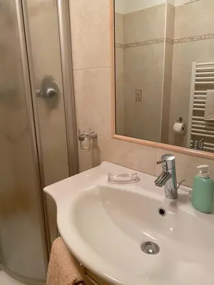 a bathroom with a sink and a shower with a mirror at Prantschurhof in San Pietro in Gardena
