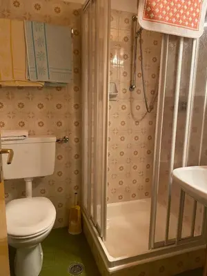 a bathroom with a shower and a toilet and a sink at Prantschurhof in San Pietro in Gardena