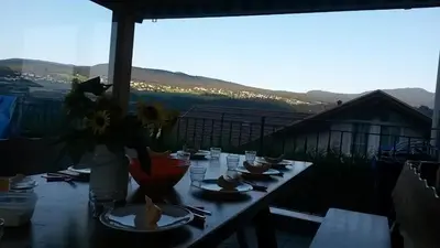 a wooden deck with a picnic table and a view of a mountain at Appartamento Agritur nel Verde in Brez
