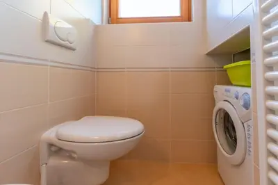 a bathroom with a toilet and a washing machine at Wonderful appartment Monte Civetta in Dolomites in Alleghe