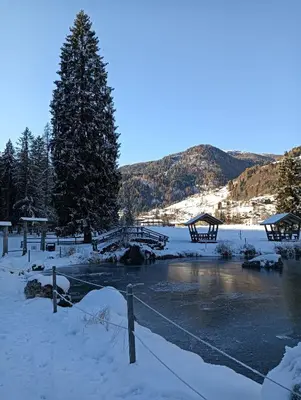 a snow covered river with a tree in the foreground at Rifugio Kristine in Falcade