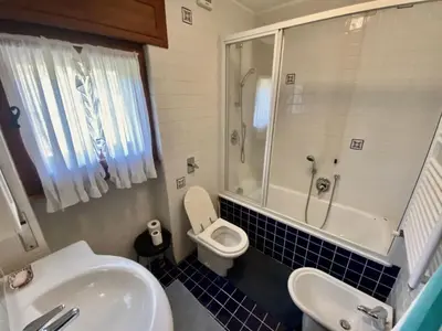 a bathroom with a sink and a toilet and a shower at Charming ground floor flat with mountain views in Cortina dʼAmpezzo