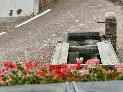 a water hole in the middle of a street with flowers at L'Antico Fienile - Val di Fiemme in Daiano