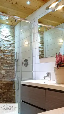 a bathroom with a sink and a glass shower at La Maison de Charlotte - Val di Fiemme in Ziano di Fiemme