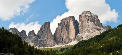 a group of mountains with trees in front of them at Appartamento Ivo in Campitello di Fassa