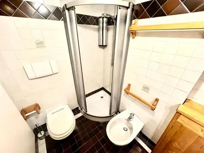 a bathroom with a shower and a toilet and a sink at Cozy Apartment - Alverà in Cortina dʼAmpezzo