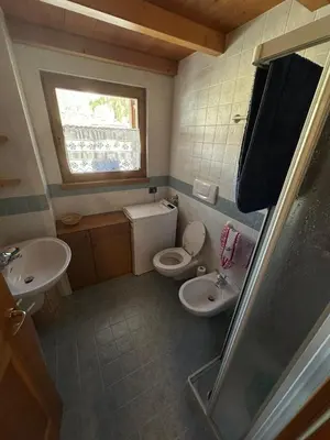 a small bathroom with a toilet and a sink at Appartamento Pelenzana in Predazzo