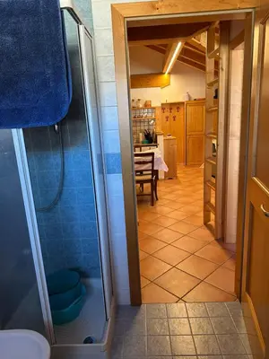 a bathroom with a shower and a kitchen with a table at Appartamento Pelenzana in Predazzo