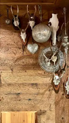 a table with antlers and other items on it at Ciasa de Len Cortina in Cortina dʼAmpezzo