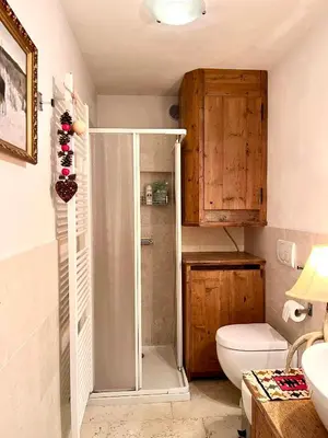 a bathroom with a shower and a toilet at Ciasa de Len Cortina in Cortina dʼAmpezzo