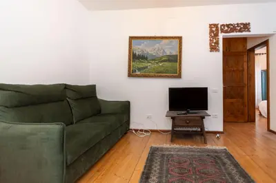 a living room with a green couch and a television at El Barance-Boscoverde 2 in Sottoguda