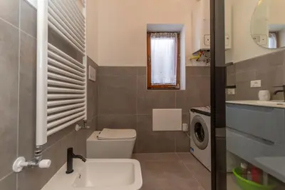 a bathroom with a toilet and a sink and a washing machine at El Barance-Boscoverde 2 in Sottoguda