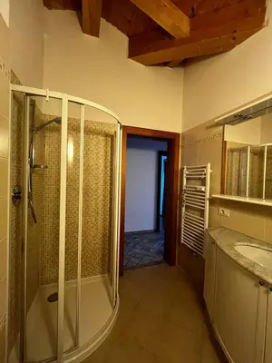 a bathroom with a glass shower and a sink at Cèsa Nicole e Patrick in Campitello di Fassa