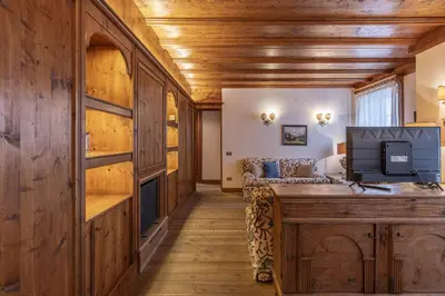 a room with wooden walls and a tv and a couch at Casa Lana, comfort nel centro di Cortina d Ampezzo in Cortina dʼAmpezzo