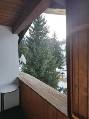 a view of a tree from a window in a room at Luminoso e centralissimo attico, splendida vista panoramica sulle Dolomiti e sulle piste olimpiche in Cortina dʼAmpezzo