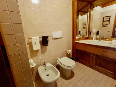 a bathroom with a toilet and a sink at Classy typical apartment in Alvera' in Cortina dʼAmpezzo