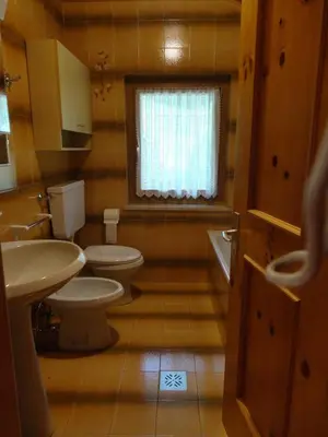 a bathroom with two toilets and a sink and a window at Appartamento Ciamp in Pozza di Fassa