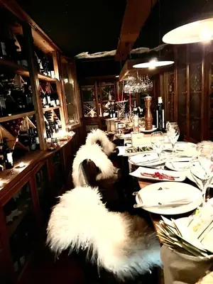 a white dog sitting at a table in a restaurant at Grifone Dolomiti Resort in Arabba