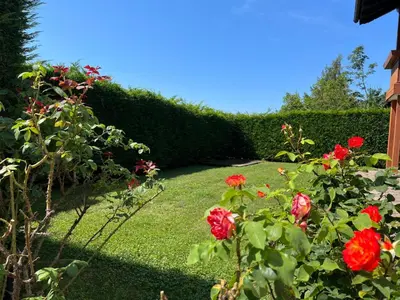 a garden with red roses and a hedge at Villa Grumes by Sunhome Fiemme in Grumes
