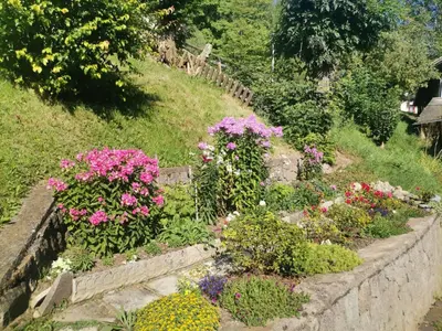 a garden filled with lots of colorful flowers at Casa Vacanze Carano - El Me Tabià in Carano
