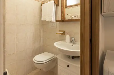 a small bathroom with a toilet and a sink at Casa Col 2, near ski slopes in Cortina d Ampezzo in Cortina dʼAmpezzo