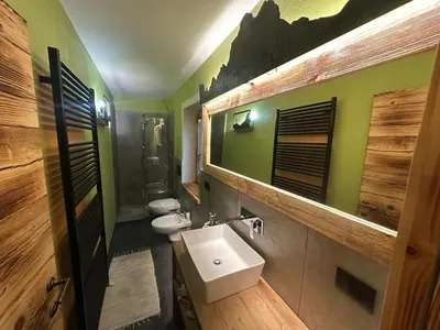 a bathroom with a sink and a toilet and green walls at Appartamento PELMO in Selva di Cadore