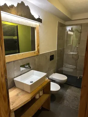 a bathroom with a sink and a toilet and a shower at Appartamento PELMO in Selva di Cadore