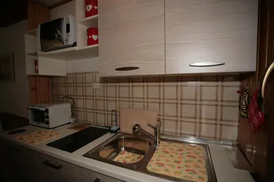 a kitchen with a sink and a counter top at Appartamento Doleda in Canazei