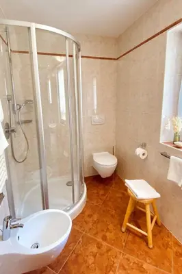 a bathroom with a shower and a sink and a toilet at Apartment Cesa Vedla DOLOMITES by Interhome in Bulla