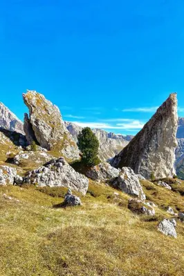 a tree sitting on top of a rocky mountain at Apartment Cesa Vedla DOLOMITES by Interhome in Bulla