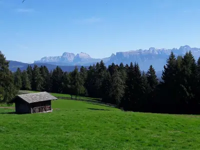a green field with a barn in a field with mountains at Apartment Wohnung Valentin by Interhome in Meltina