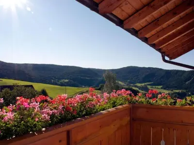 a garden with flowers on a wooden fence at Apartment Wohnung Mölten by Interhome in Meltina