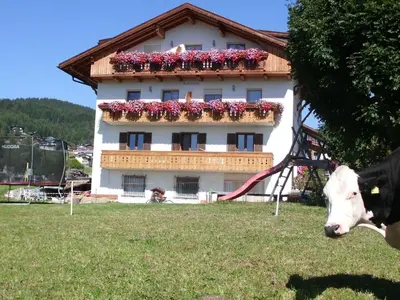 a cow standing in a field in front of a building at Apartment Rosenheim Appartement 2 by Interhome in Maranza