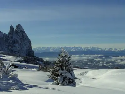a snow covered mountain with a tree in the foreground at Apartment Wohnung in den Dolomiten mit traumhafter Aussicht by Interhome in Kastelruth