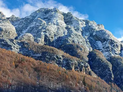 a snow covered mountain with trees in front of it at appartamento Casa Lucia in Cencenighe