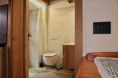 a bathroom with a toilet in a room at Ciesa Le Crepedele Miniappartamento Mirandola in Sottoguda