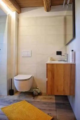 a bathroom with a toilet and a sink at Ciesa Le Crepedele Miniappartamento Mirandola in Sottoguda