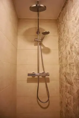 a shower in a bathroom with a shower head at Ciesa Le Crepedele Miniappartamento Mirandola in Sottoguda