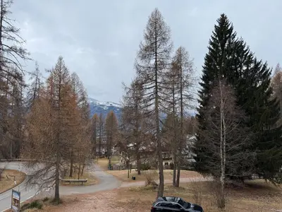 a car parked on a road next to trees at Villetta rifugio tra i larici in Varena